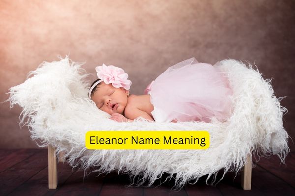 Eleanor Name Meaning