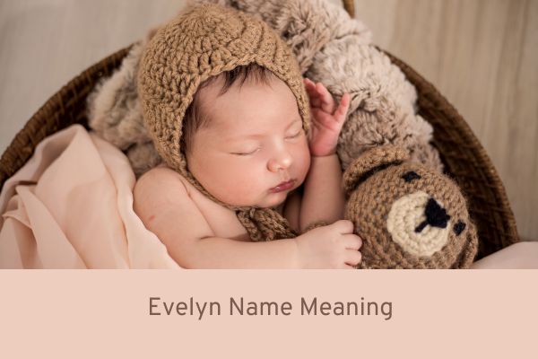 Evelyn Name Meaning