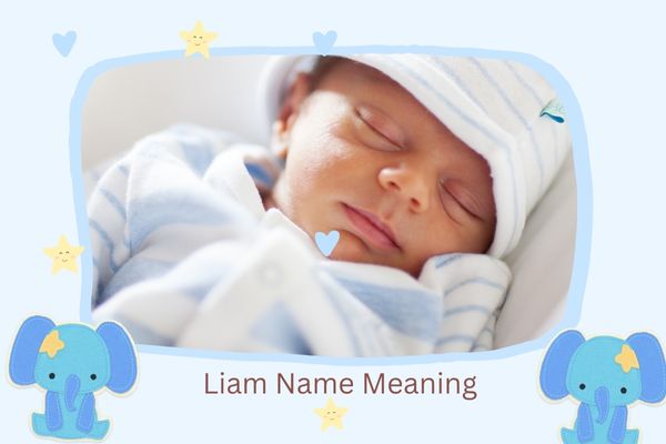 Liam Name Meaning