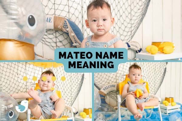 Mateo Name Meaning