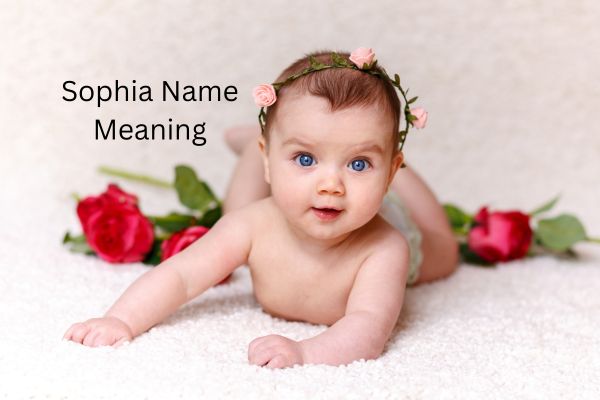 Sophia Name Meaning