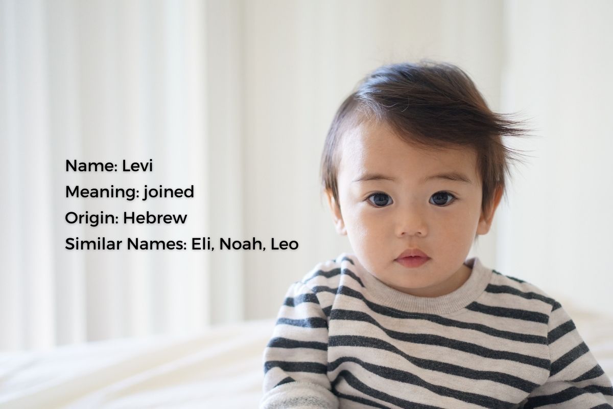 Levi Name Meaning, Origin, and Popularity