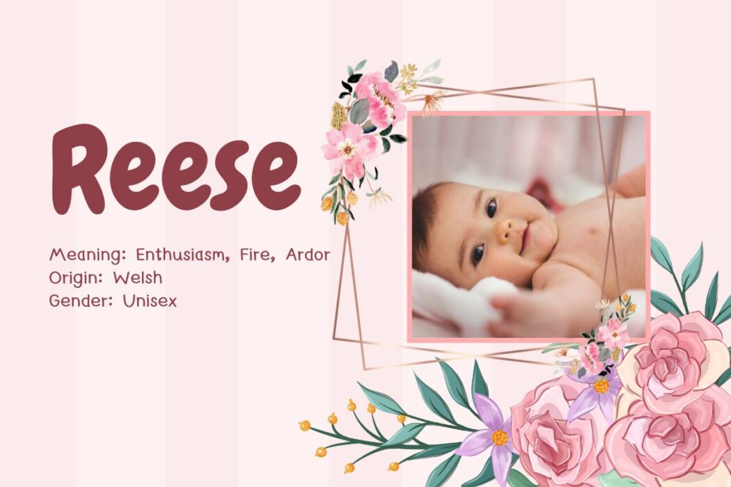 Reese Name Meaning